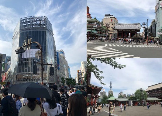 『最新！！2020春夏展示会　in　Tokyo！！　（後編）』